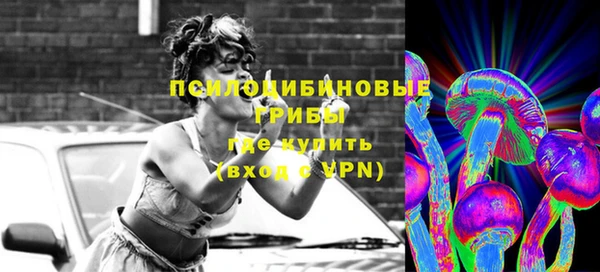 эйфоретик Алексин