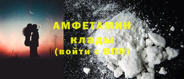 PSILOCYBIN Алзамай