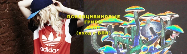 2c-b Алексеевка