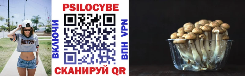 Галлюциногенные грибы MAGIC MUSHROOMS  Болотное 